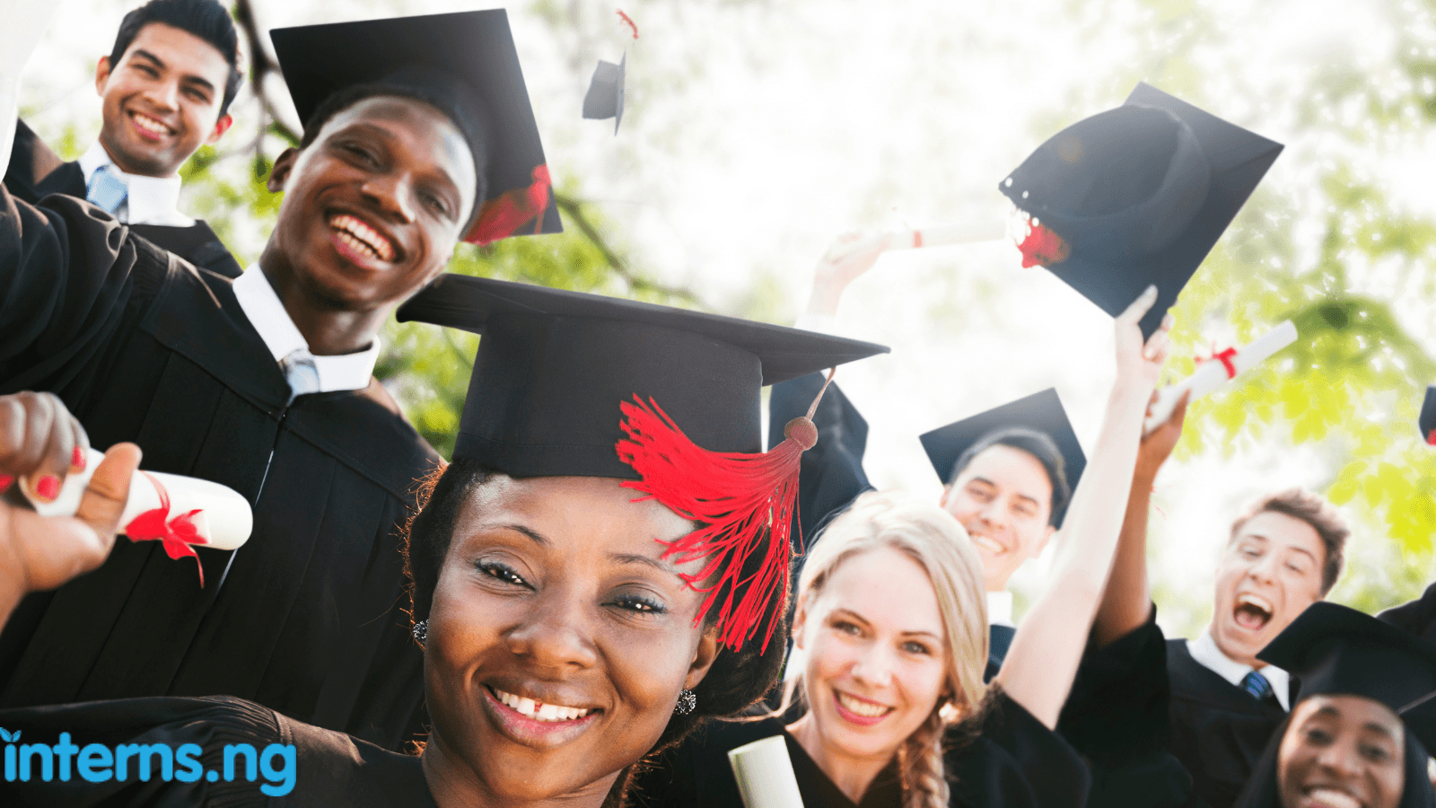 How Fresh Graduates Can Gain Experience Without Borders :Practical Paths to Start Your Career (2026 Guide)